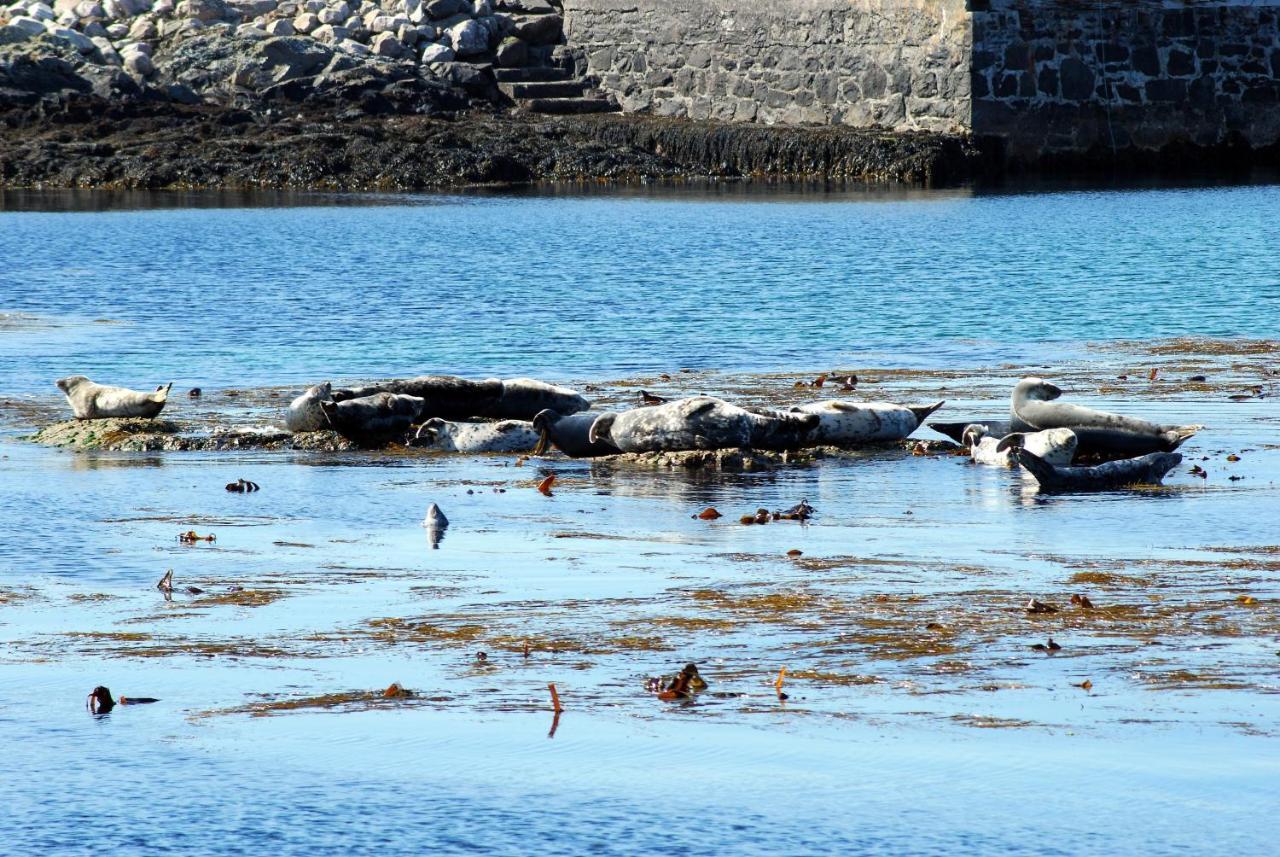 Orsay House Bed & Breakfast Portnahaven Exterior foto